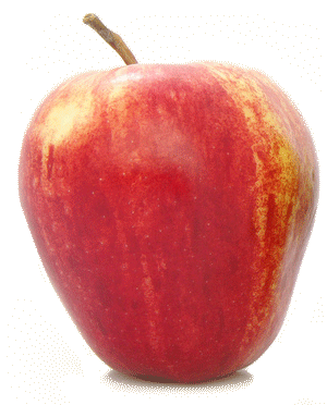 Fresh Wholesale Apples