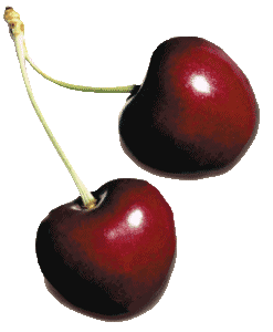 Fresh Wholesale Cherries