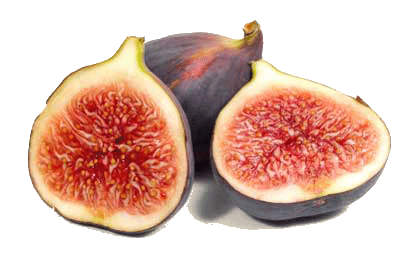 Fresh Wholesale Fig Fruit