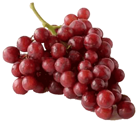 Fresh Wholesale Grapes